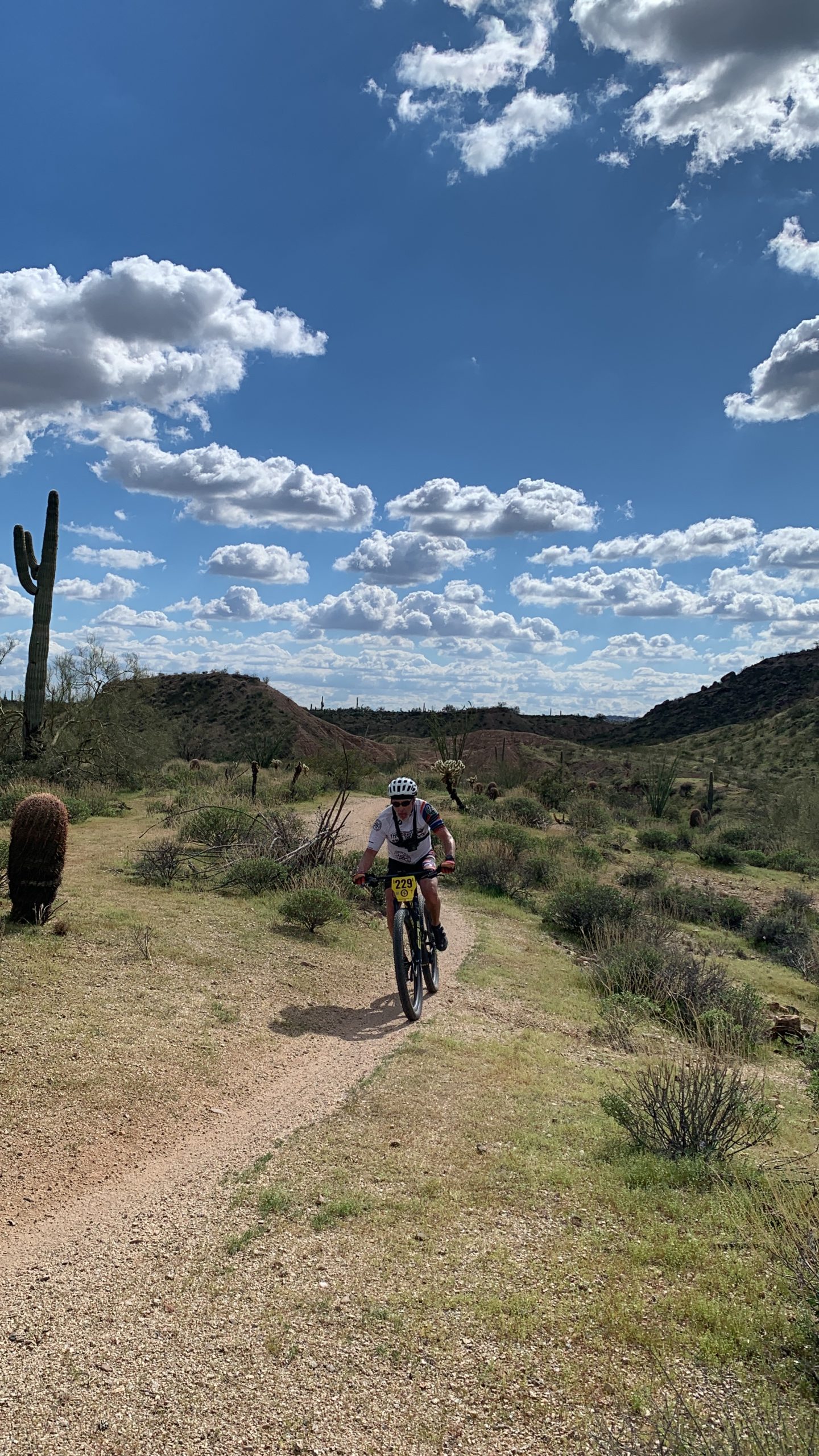 0be5022c 0d5b 48b3 a4a6 b168c015b317