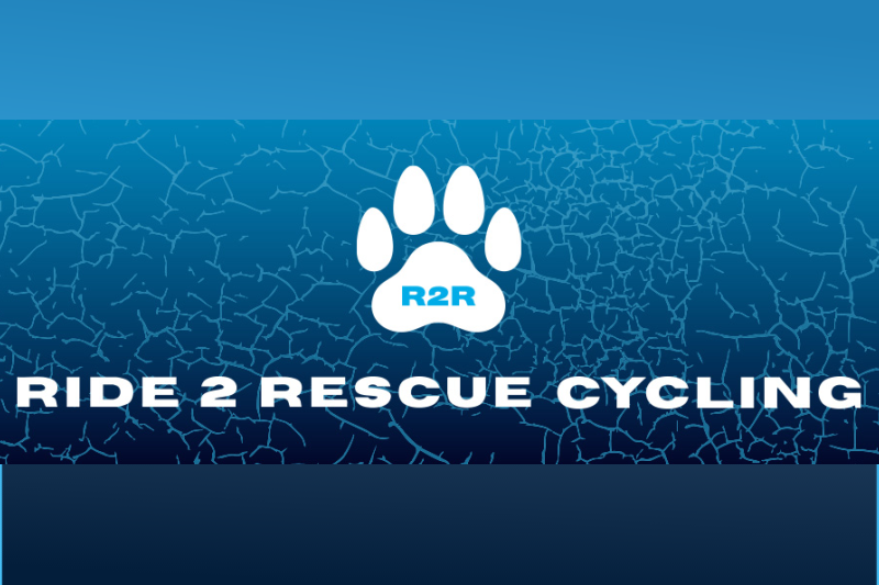ride 2 rescue cycling (1)
