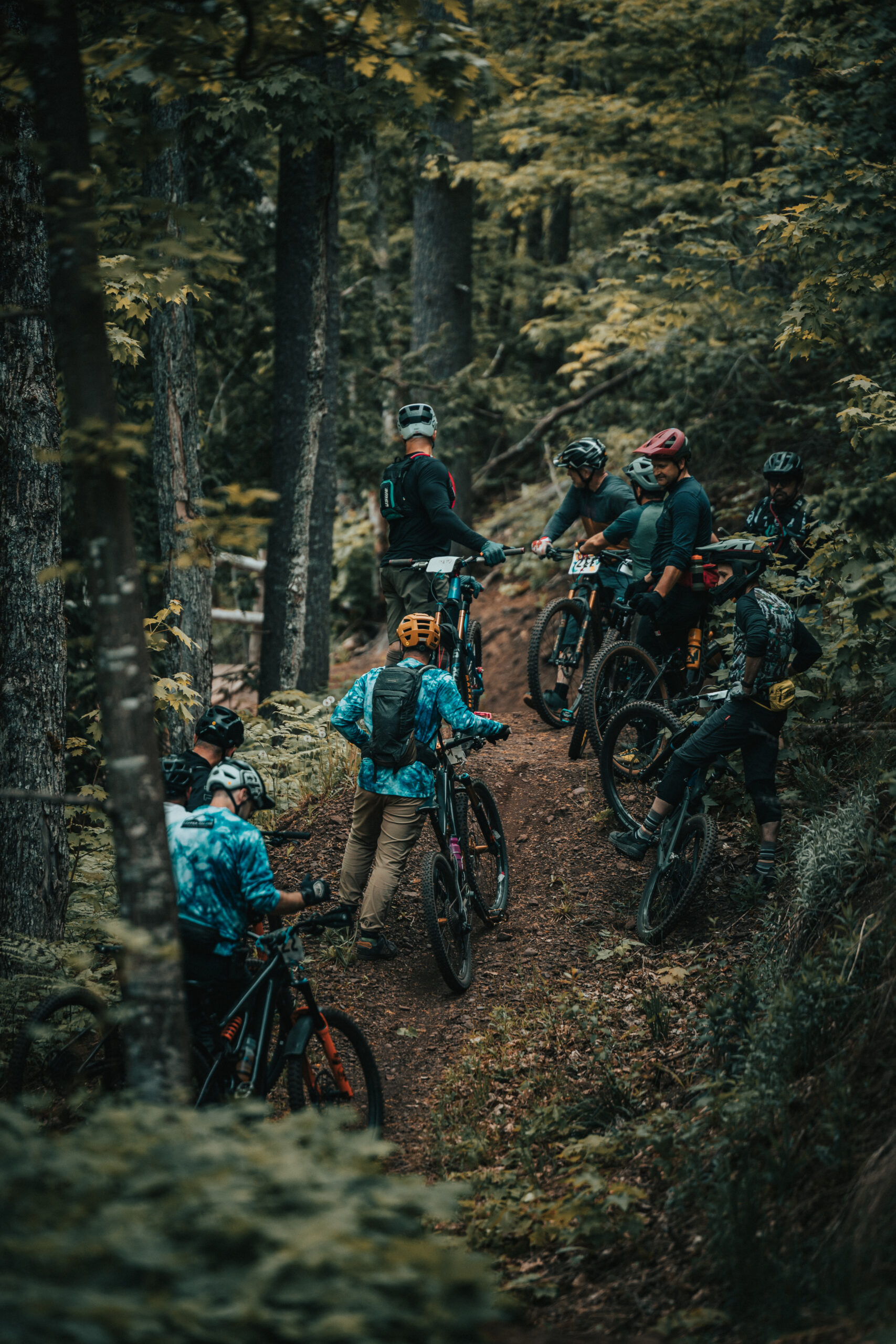 54600364871 0508f8e2ae o