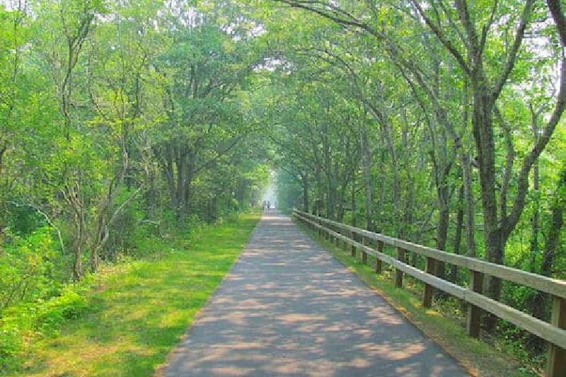 cape cod rail trail