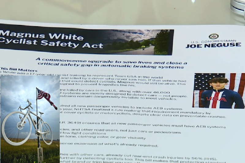 magnus white safety act