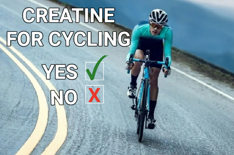 creatine for cyclists