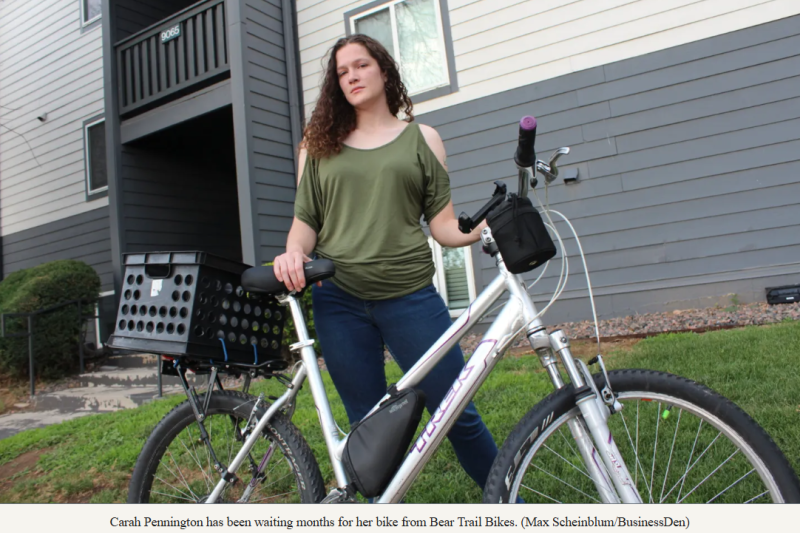 ebike incentive fraud