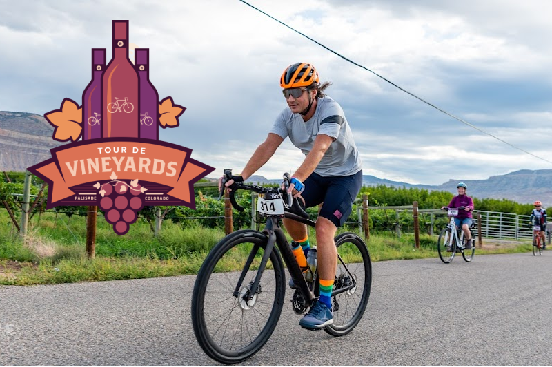 tour de vineyards (10)