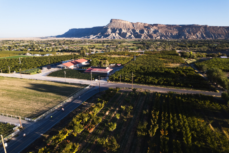 tour de vineyards (5)