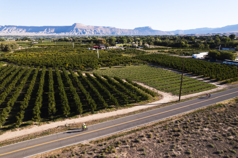 tour de vineyards (7)