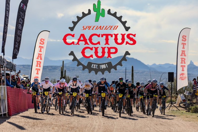 cactus cup