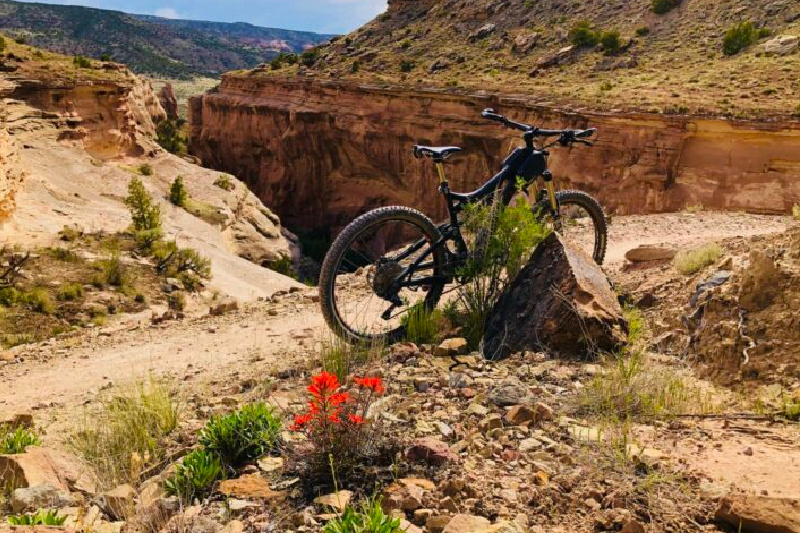 fruita fat tire festival