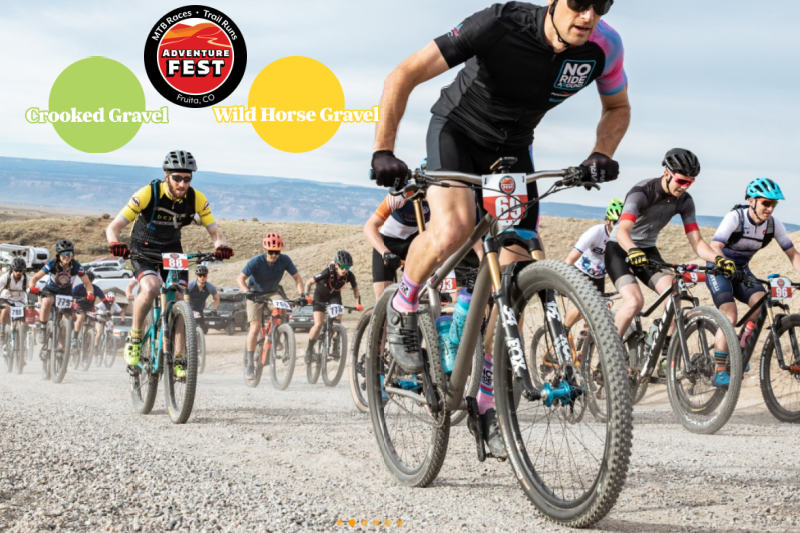 gemini adventures (1)