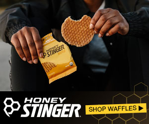 hs banner ads waffle refresh 300x250 (1)