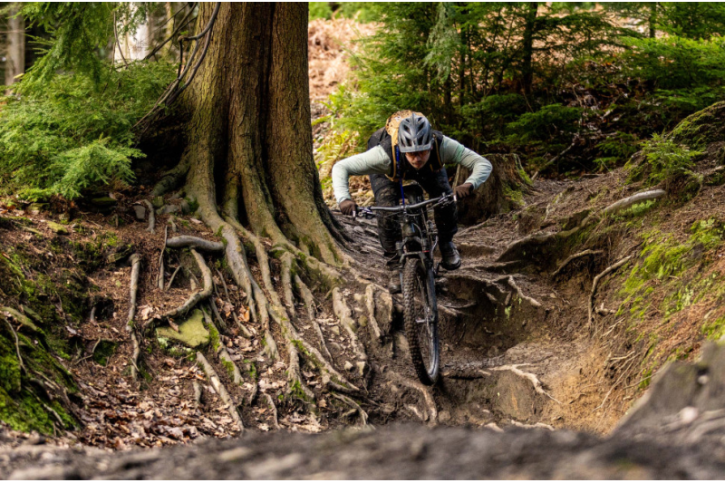 master slippery roots